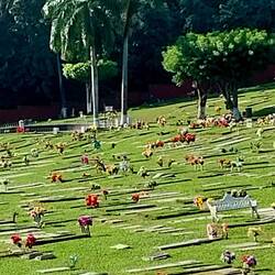 Lauter Plastikblumen