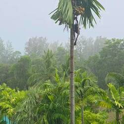 ...unsere tägliche Dusche