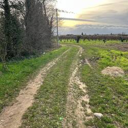 Kleiner Spaziergang, wobei der Weg auch zum Offroaden einlädt.