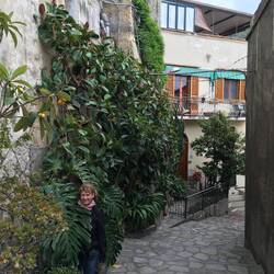 Das Monstera-Blatt ist fast größer als Gritti