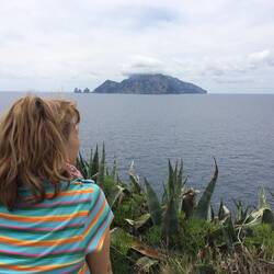 Blick auf Capri