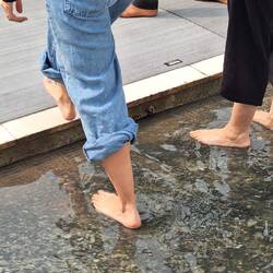 Purificación patil previa