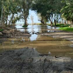 Der geschlossene Campingplatz: Der Hauptweg ist völlig überflutet.
