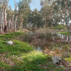 Der geschlossene Campingplatz: überflutete Stellplätze.