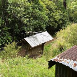 Slightly smaller than the Providence termite (IYKYK)