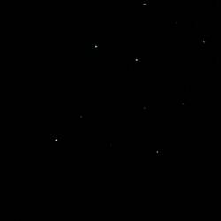 Glow worm video at Lochmara