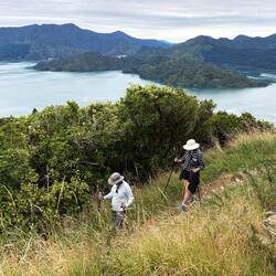 Zigzagging on the way down