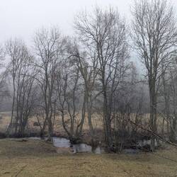 Keine Spur von Frühling