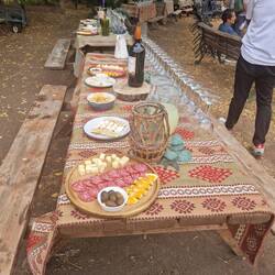 The picnic