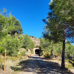 Tunnel dürfen nicht fehlen.
