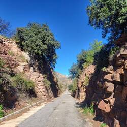 Wieder hervorragende Wege!