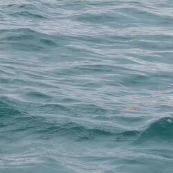 Was da wohl einmal tief durchatmet