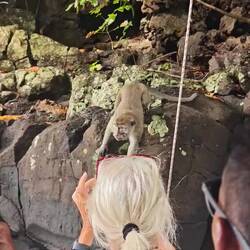 Snacks scheinen immer gern willkommen