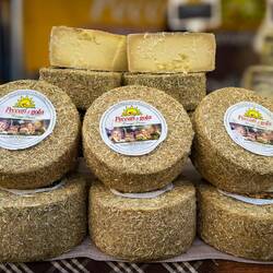 Pecorino cheese wheels at the market — Ferrara, Italy.