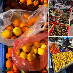 €3,50 für diese Blutorangen,Grapefruit u. Zitronen👍🏻🍊🍋