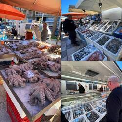 ..ich sehe sie alle lieber schwimmen und bin hier recht schnell vorbei,aber super frisch alles..