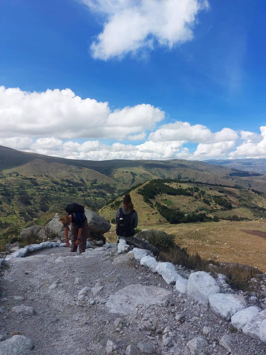 Wollte doch nur ne Wandermaus sein