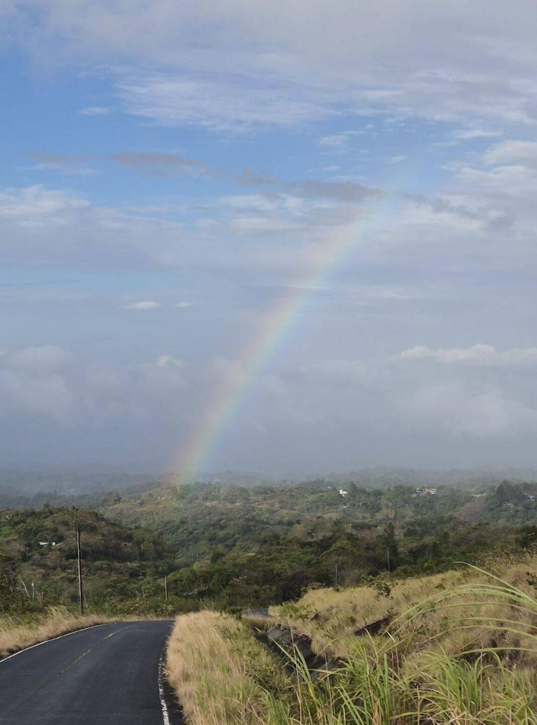 Nach Regen kommt Sonne