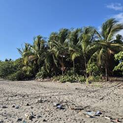 Aber es liegt sehr viel Müll herum
