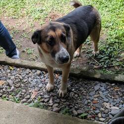 Equal time for the Hacienda Pero