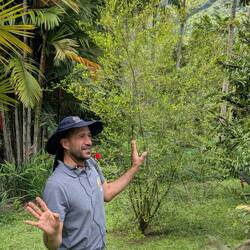 A coca plant which has gotten out of hand