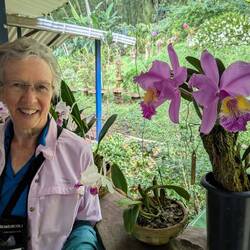 Two types of Columbia's national flower, the Christmas Orchid