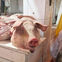 Hat jemand ein Rezept dazu?