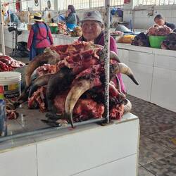 Die Fleischabteilung