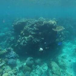 Axel beim schnorcheln