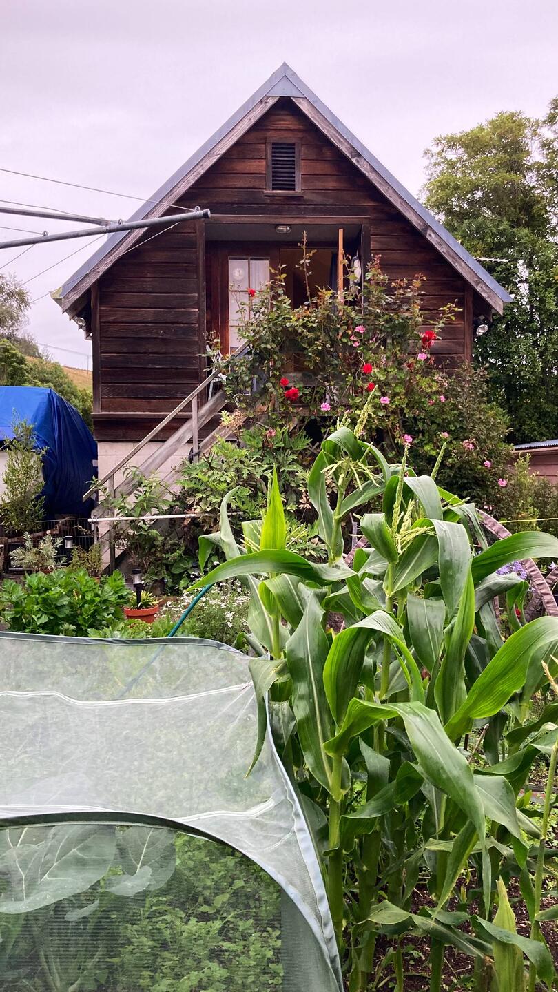 The Anchorage - rear view