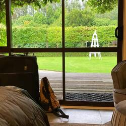 The view from it, with Song Thrush and Dunnock (not visible here)