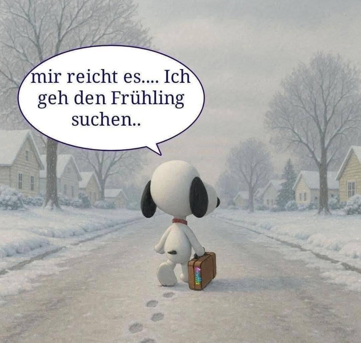 Das ist der Plan....