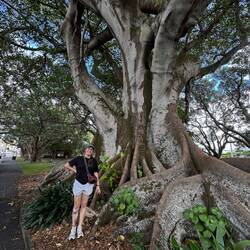 Auch hier gab's dicke Bäume