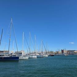 Genauer Frühstücksblick