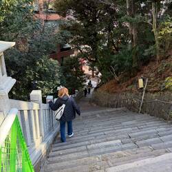 The G.O.A.T. Chose the "easier" path down, said the steps were more uniform 🤨