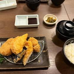 Gemini recommended lunch spot, crazy good chicken and pork cutlets