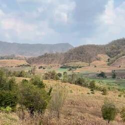 Das Grüne sind Reisfelder