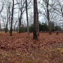 Angedeuteter Erdwall mit Soldaten Silhouette.