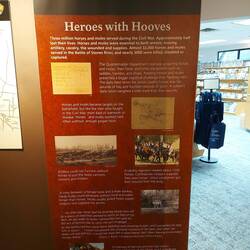 Nicht nur Menschen waren betroffen.