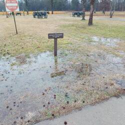 Bisschen viel Regen.
