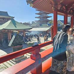 Ils sont joueurs ces japonais!