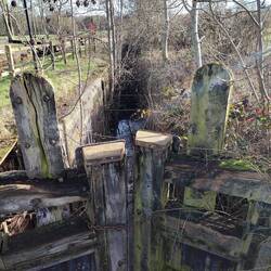 One of the duplicated locks left to nature alongside the working one