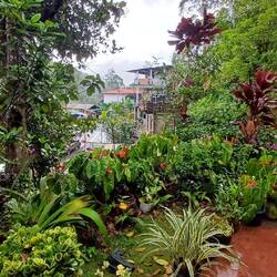 Ein Paradies von Garten