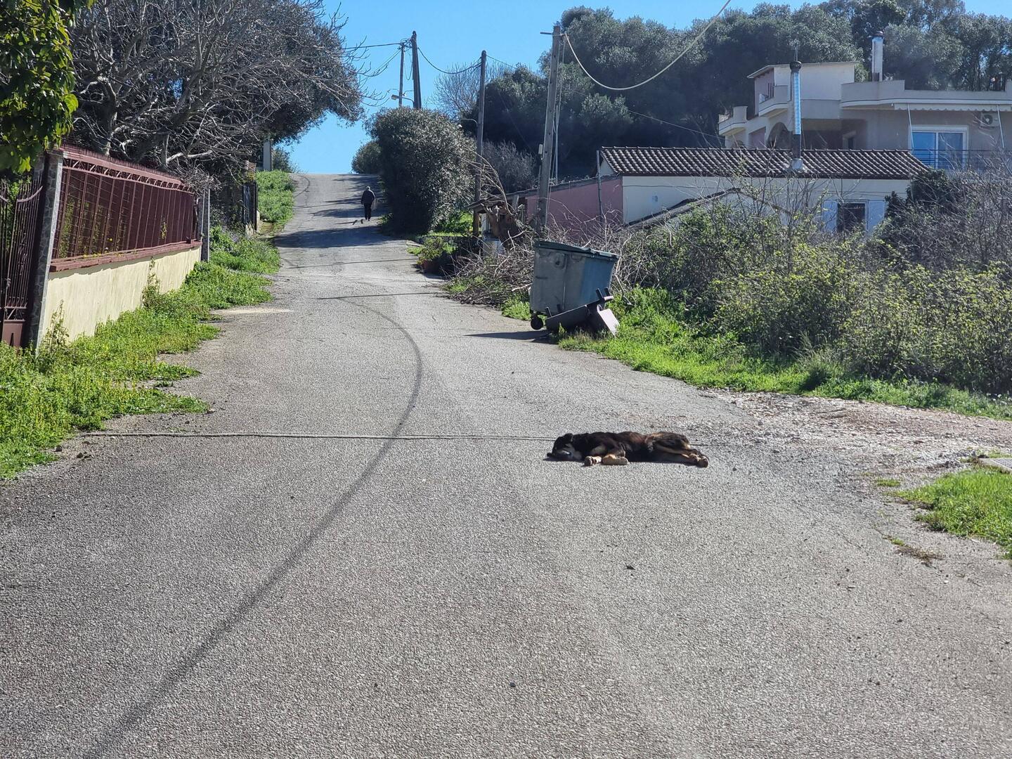 Die Strasse ist ebenen so schön warm