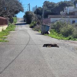Die Strasse ist ebenen so schön warm