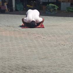 Oh Allah, lass bitte mehr von den Ungläubigen aus Europa kommen, die die teuren Dattelpreise zahlen.