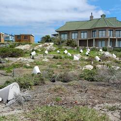 Kunsthöhlen für die Pinguine