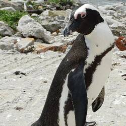sie können sich ganz schön in Szene setzen 😁