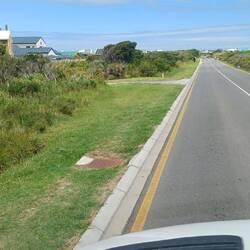 es wächst hier echter RASEN, ohne Bewässerung 🧐🧐