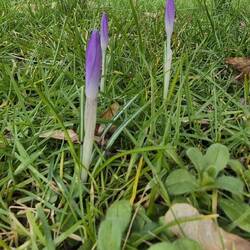 Der Frühling steht in den Startlöchern.